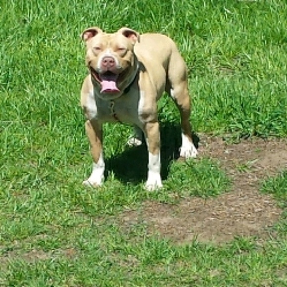 Meet your Posher, CoolC - Picture 1 of 1